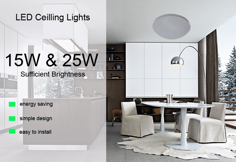 round ceiling light-3.jpg