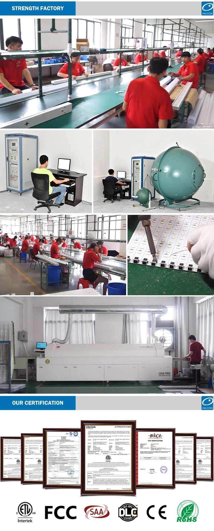 _10.jpg