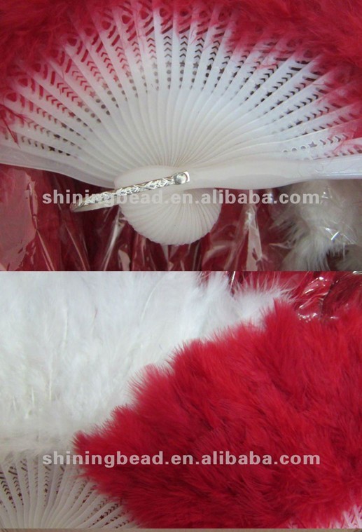 feather fan 1.jpg