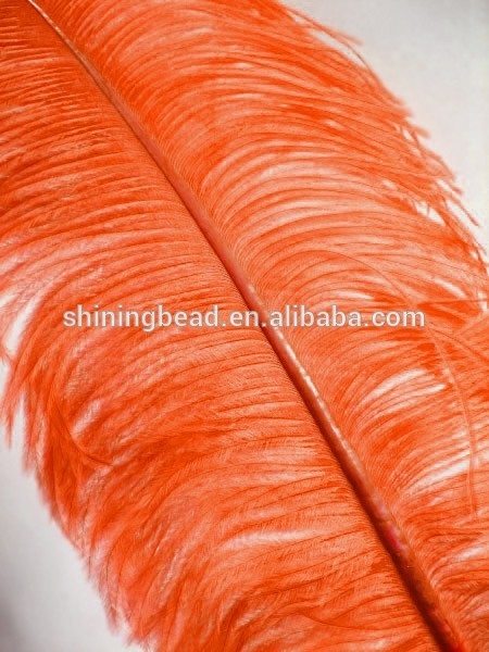 bevfabriccrafts_2235_987258974.jpg