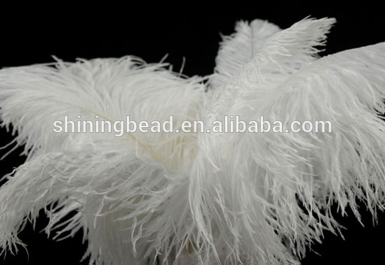 bevfabriccrafts_2064_270878917.jpg