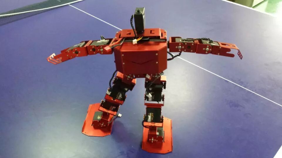 humanoid robot-25.jpg