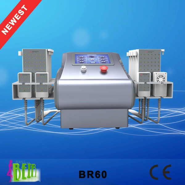 BR60 528 diodes lipolaser .jpg