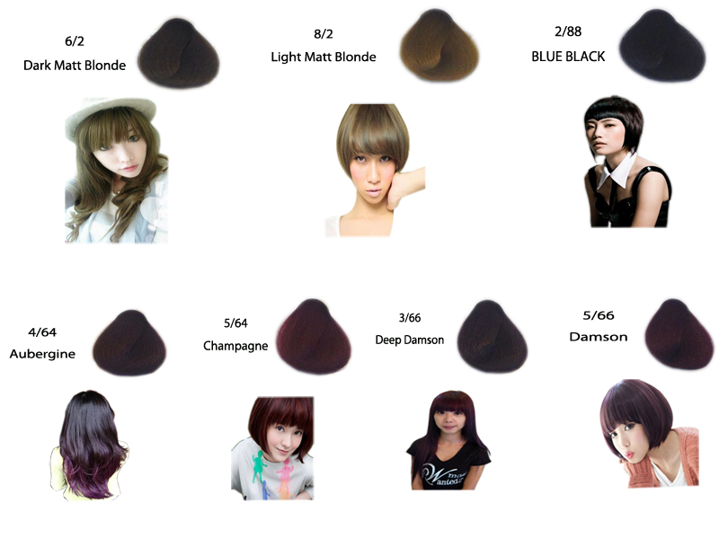 hair color chart9