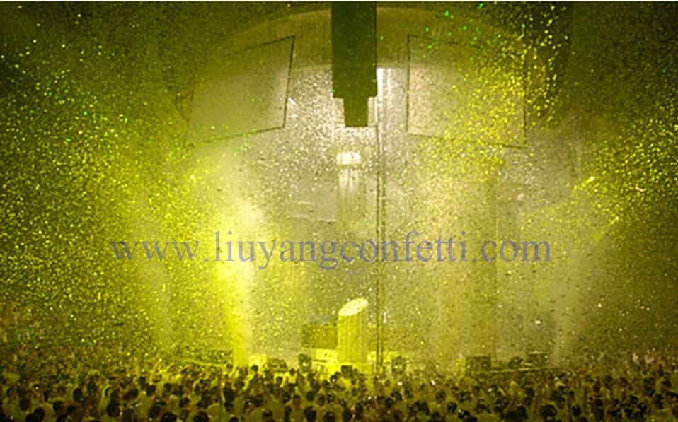 gold confetti (3).jpg