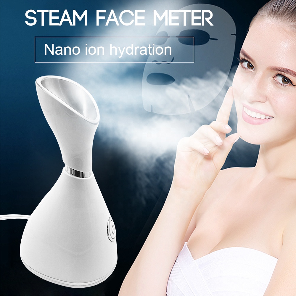 steam face meter.jpg