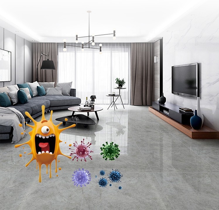 disinfection spray1 (1).jpg