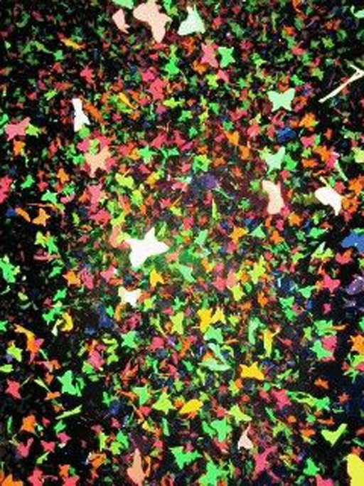 butterfly confetti.jpg