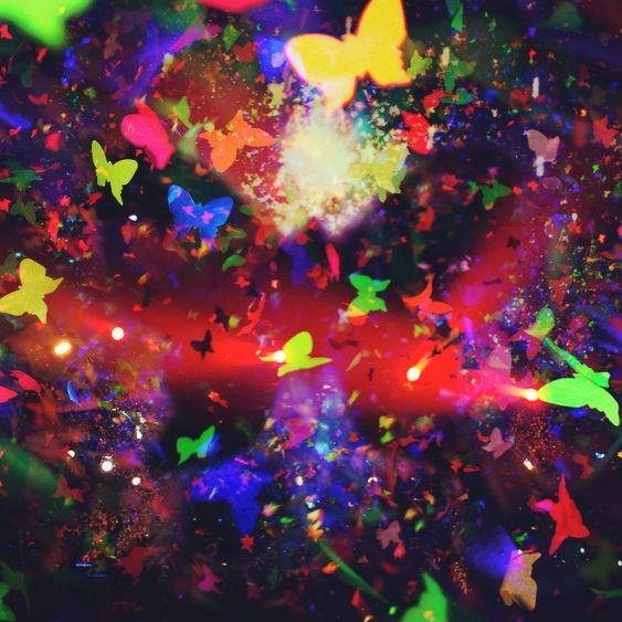 butterfly confetti effect.jpg
