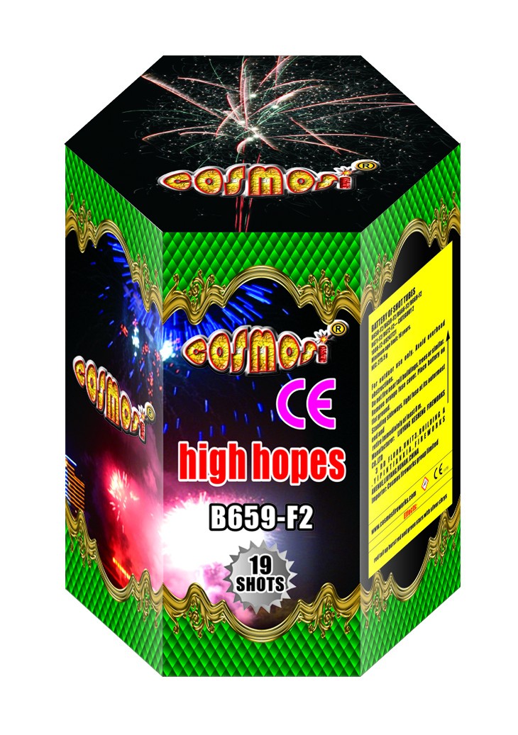 24 B659-F2 high hopes.jpg