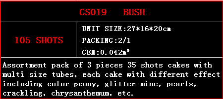 cs019.jpg