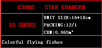 CS002.jpg