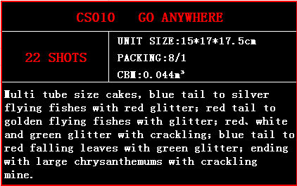 cs010.jpg