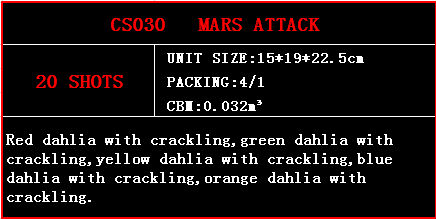 cs030.jpg
