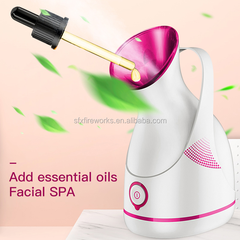 facial steamer (55)