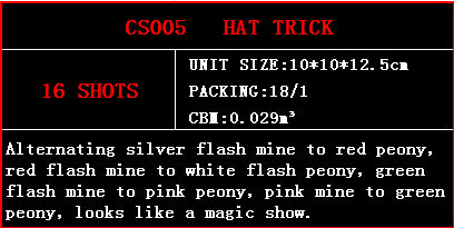 cs005.jpg