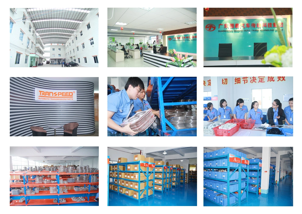 TRANSPEED company photo update.jpg