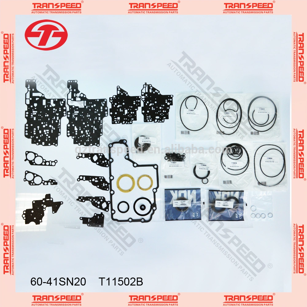 60-41SN20 T11502B overhaul kit.jpg