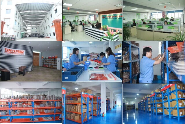 TRANSPEED factory photo