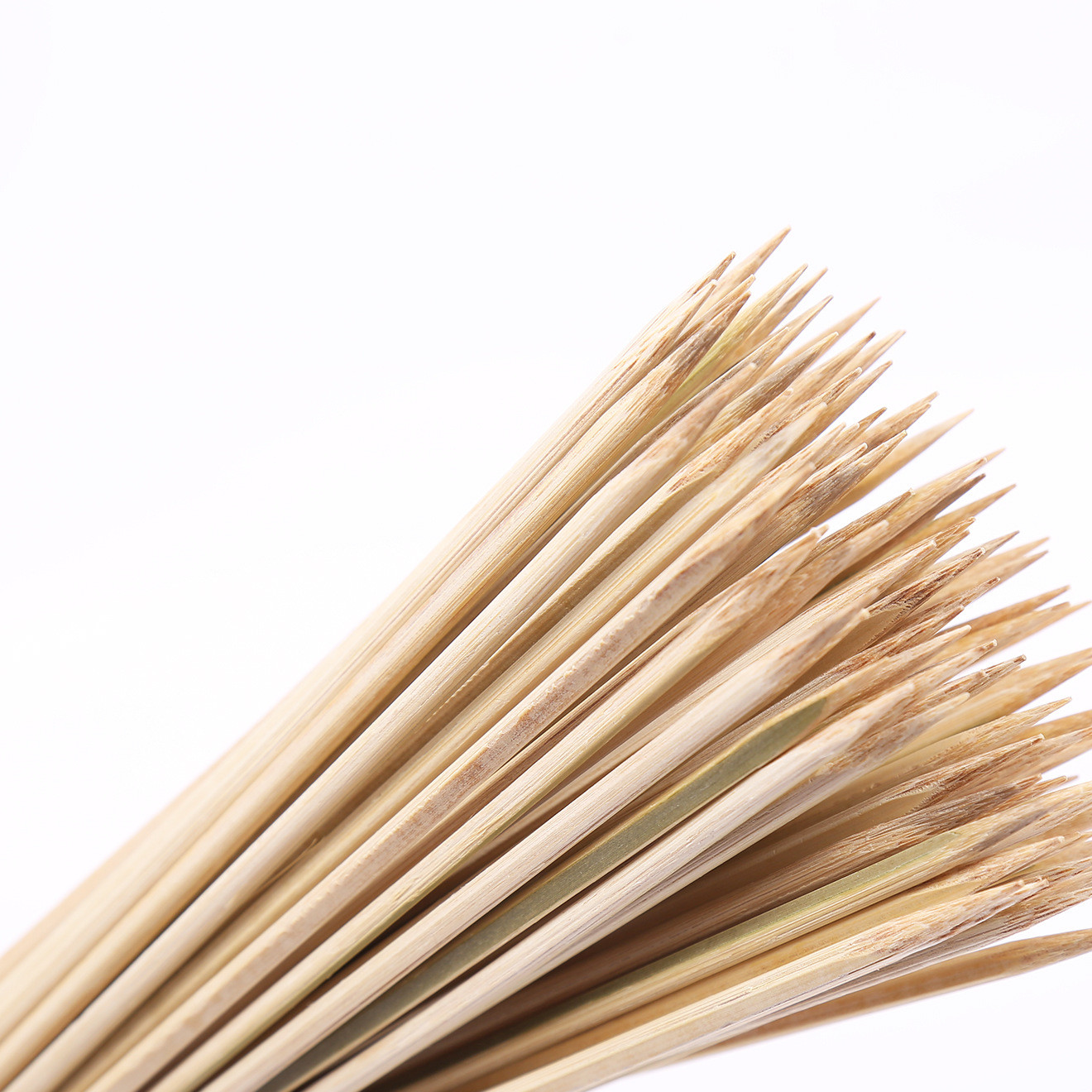 bamboo566