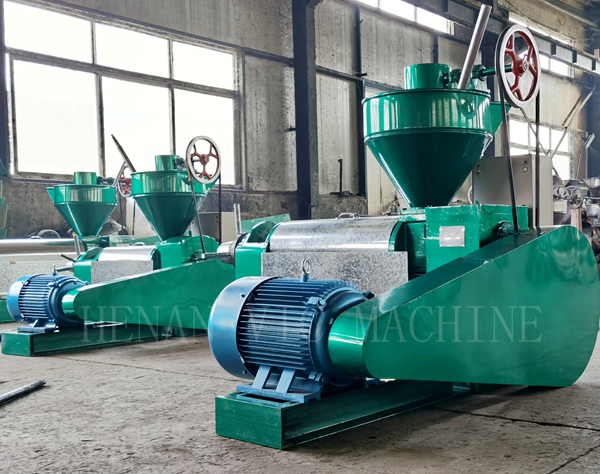 6YL-1302.jpg