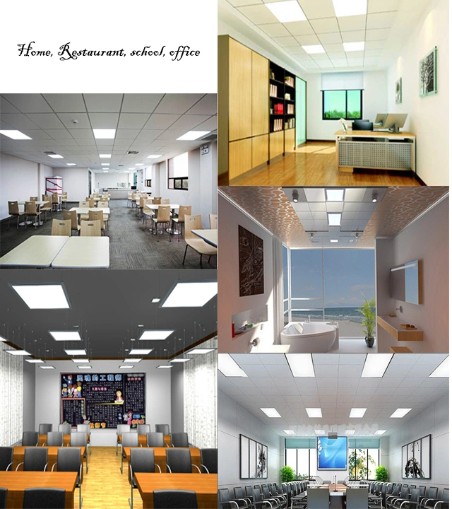 Lumin Frameless Panel Light Case Study Feedback