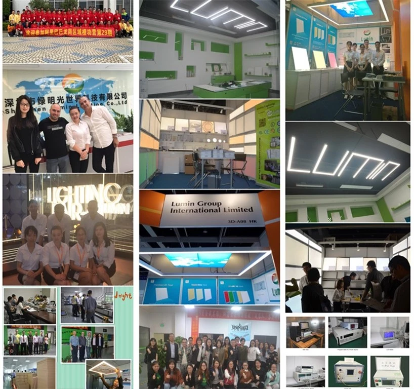 Lumin Company Photos Show