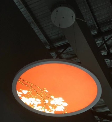 Lumin 225mm round LED panel installed in modern office ceiling