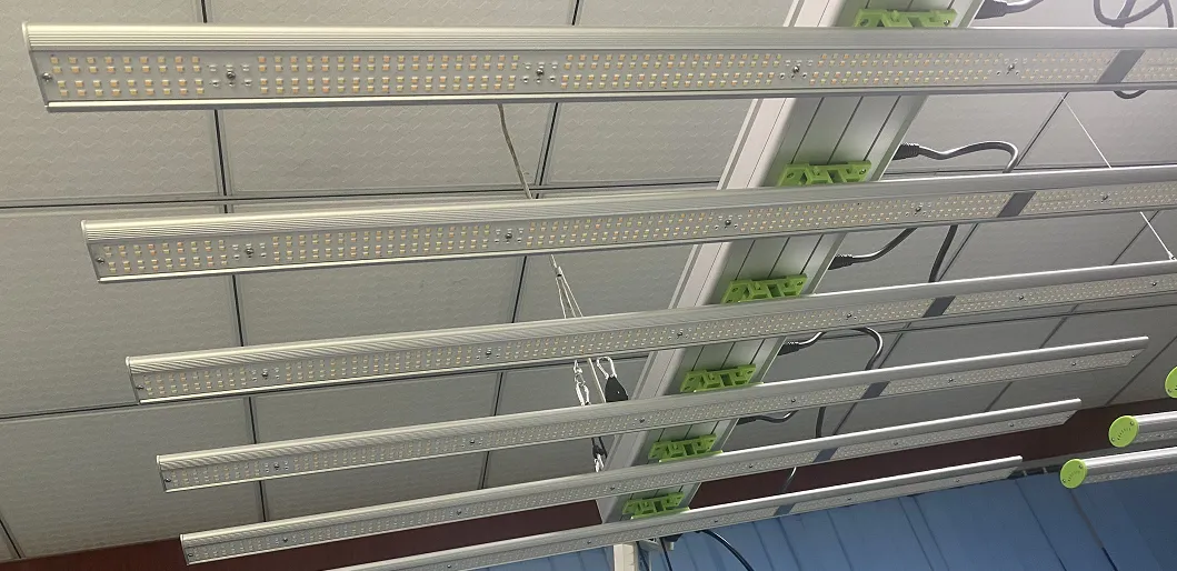 2021 samsung sunlight 600w 800w 8bars full spectrum led grow light for hydroponics greenhouse