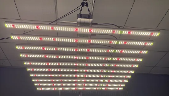 Indoor vertical farming full spectrum 6bars 8 bars LED grow light 800w 600w