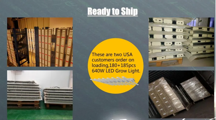 600W Tri spectrum led grow light control by knob dimmer for plant at different growing stage