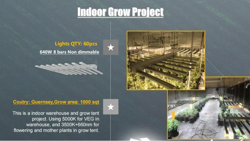 Commercial LED grow lighting full spectrum 600w for indoor plant lamp