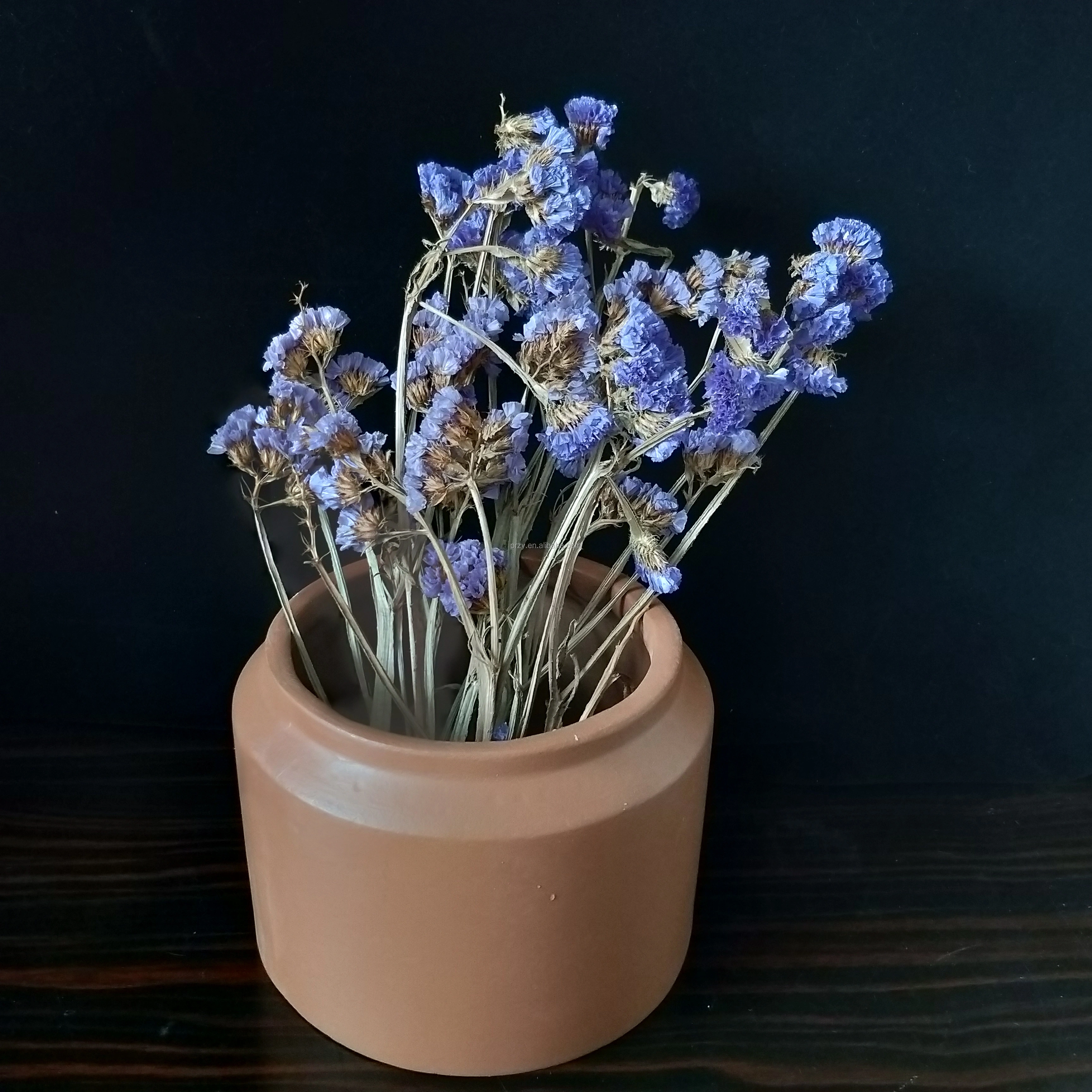 IMG20190917103555.jpg