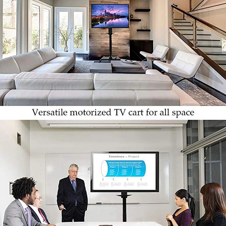 BST-CTD-TV (13).jpg