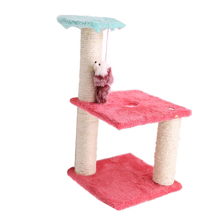 cat climbing tower (10).jpg