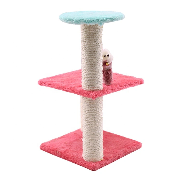 cat climbing tower (6).jpg