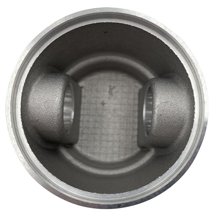 D2DC,63.5x21.5(5).jpg