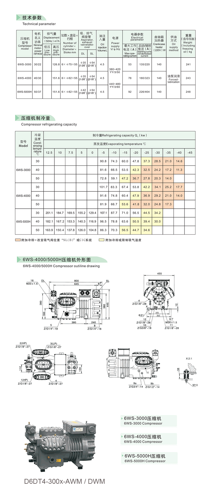 6WS-3000.2.jpg