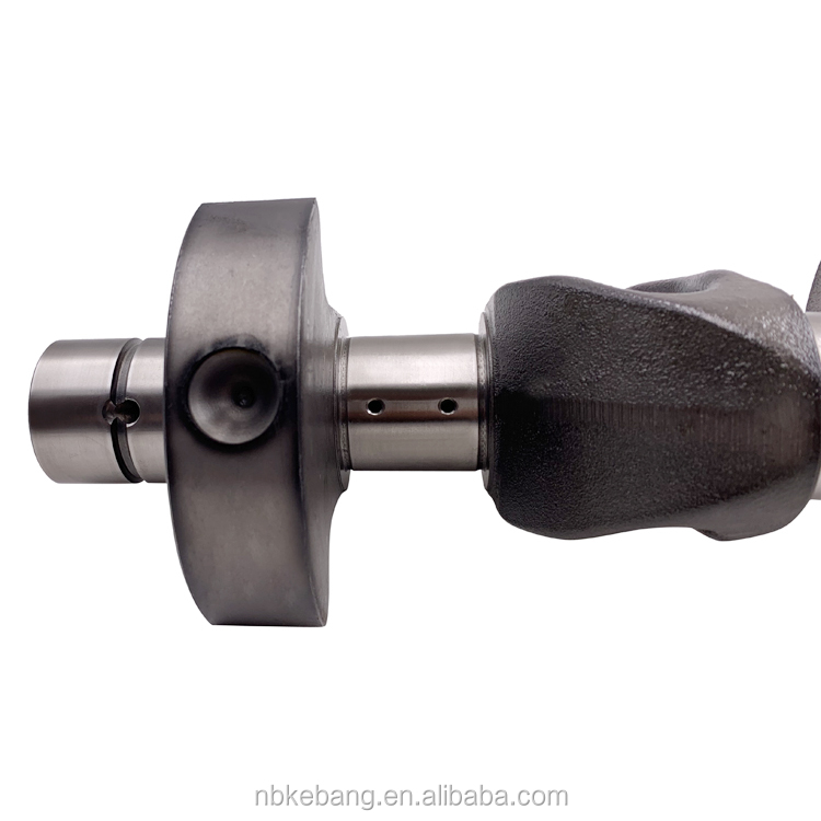 Bitzer 4G crankshaft (8).jpg