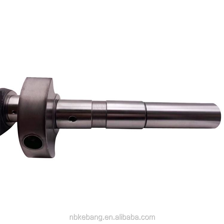 Bitzer 4G crankshaft (7).jpg