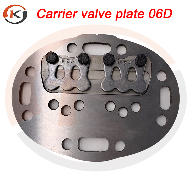 carrier 06D valve plate(5).jpg