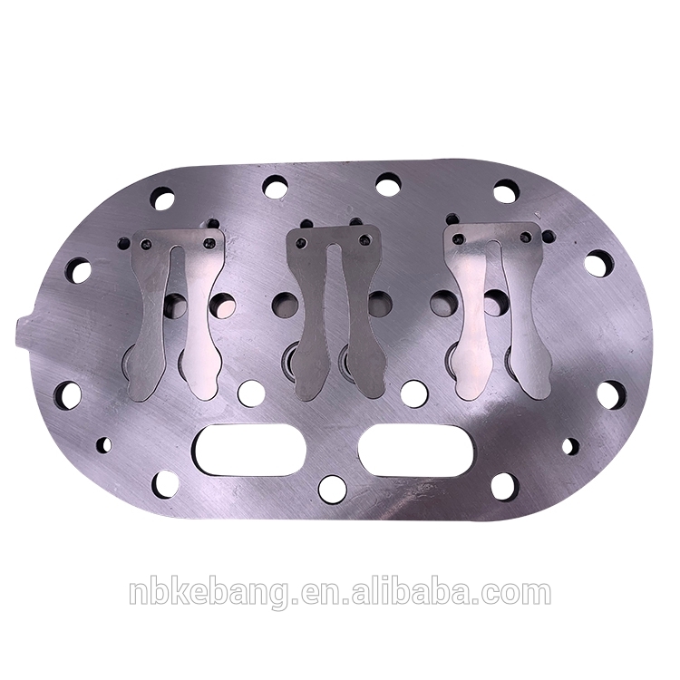 D3SSI-100X (2).jpg