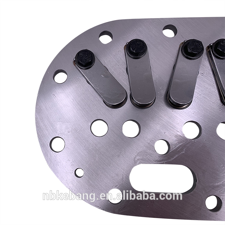 D3SSI-100X (4).jpg