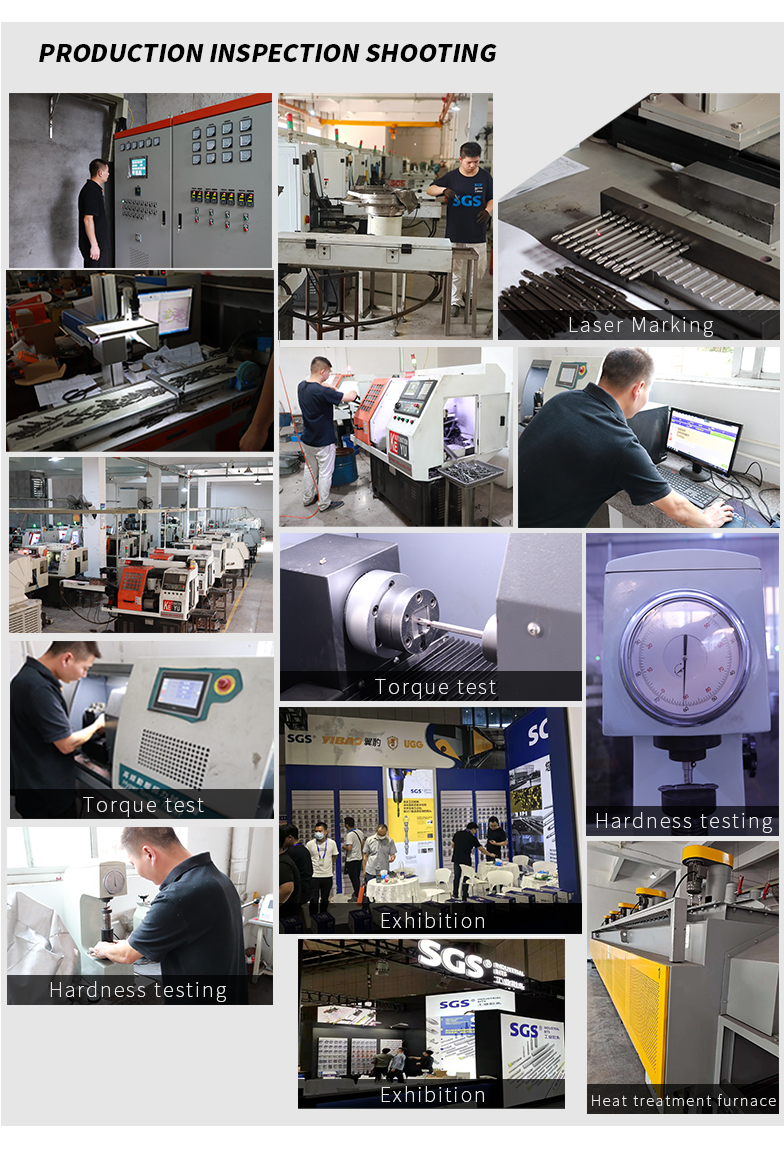 SGS Sandblasted PH2 Bit