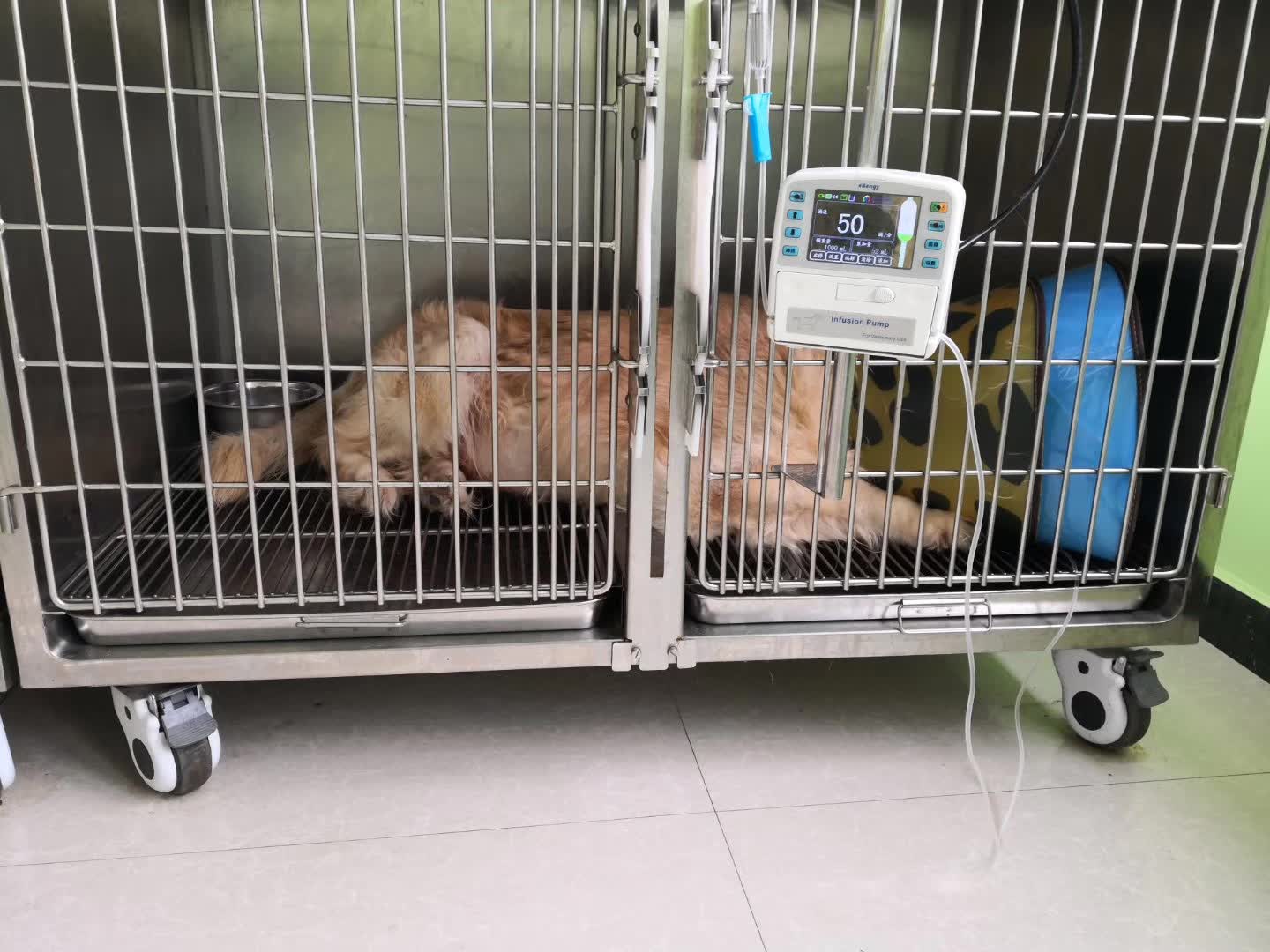 Infusion pump.jpg