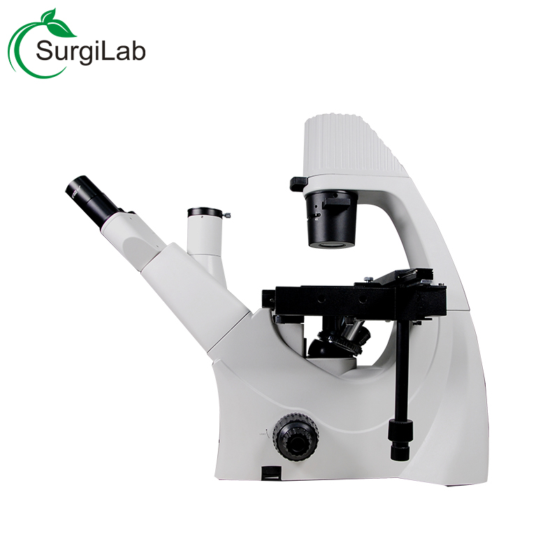 biology microscope lab