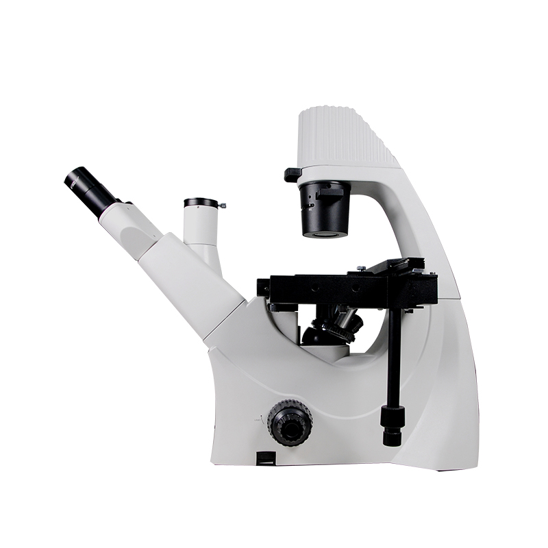 biological microscope