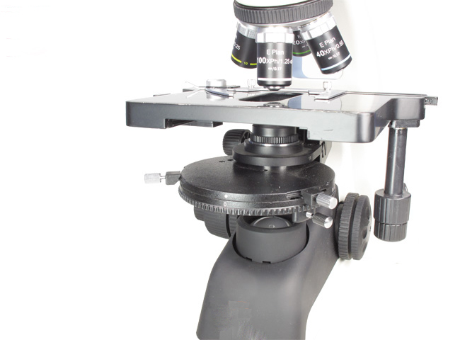 biological microscope