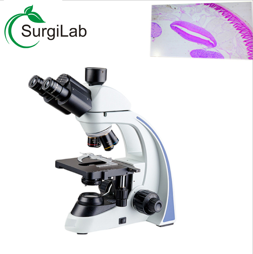 biology microscope lab.jpg