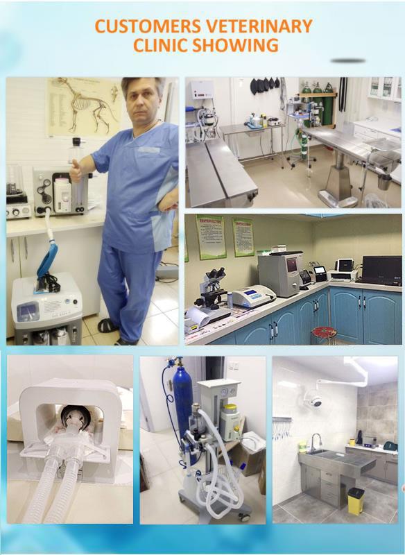 Pet Hospital